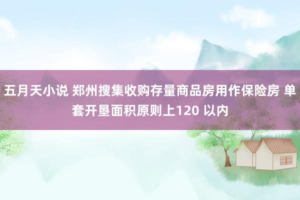 五月天小说 郑州搜集收购存量商品房用作保险房 单套开垦面积原则上120 以内