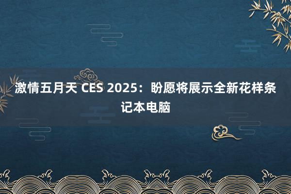 激情五月天 CES 2025：盼愿将展示全新花样条记本电脑