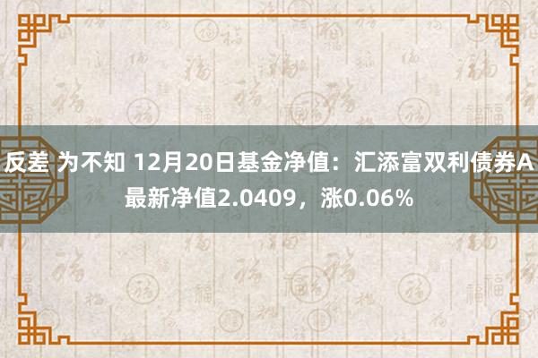 反差 为不知 12月20日基金净值：汇添富双利债券A最新净值2.0409，涨0.06%