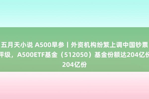 五月天小说 A500早参丨外资机构纷繁上调中国钞票评级，A500ETF基金（512050）基金份额达204亿份