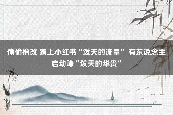 偷偷撸改 蹭上小红书“泼天的流量” 有东说念主启动赚“泼天的华贵”