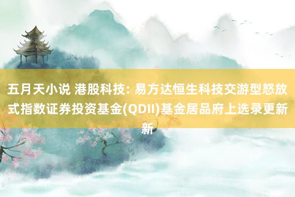五月天小说 港股科技: 易方达恒生科技交游型怒放式指数证券投资基金(QDII)基金居品府上选录更新