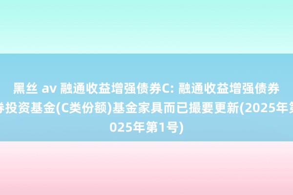 黑丝 av 融通收益增强债券C: 融通收益增强债券型证券投资基金(C类份额)基金家具而已撮要更新(2025年第1号)