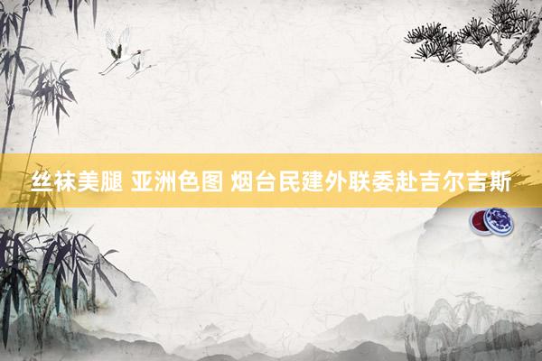 丝袜美腿 亚洲色图 烟台民建外联委赴吉尔吉斯