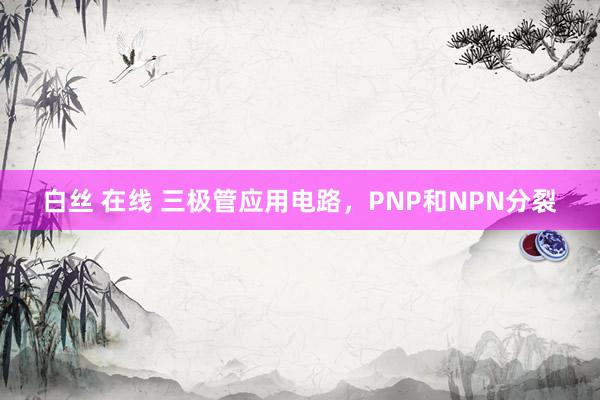 白丝 在线 三极管应用电路，PNP和NPN分裂