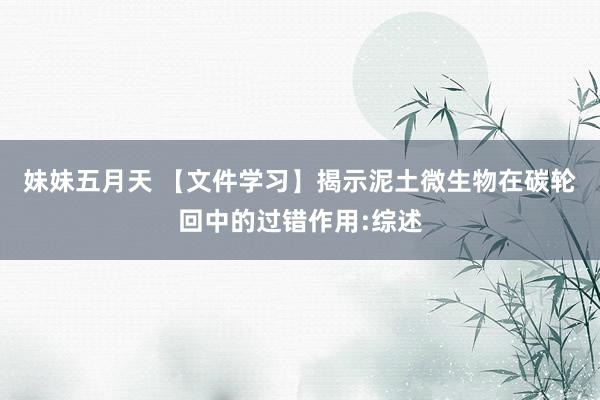 妹妹五月天 【文件学习】揭示泥土微生物在碳轮回中的过错作用:综述