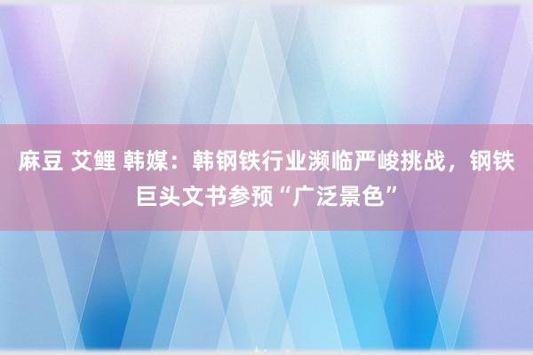 麻豆 艾鲤 韩媒：韩钢铁行业濒临严峻挑战，钢铁巨头文书参预“广泛景色”