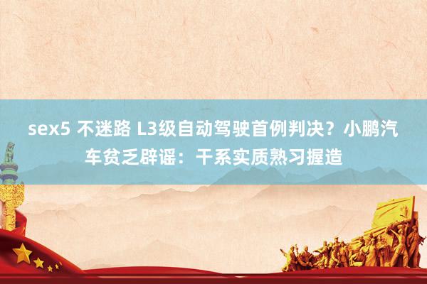 sex5 不迷路 L3级自动驾驶首例判决？小鹏汽车贫乏辟谣：干系实质熟习握造
