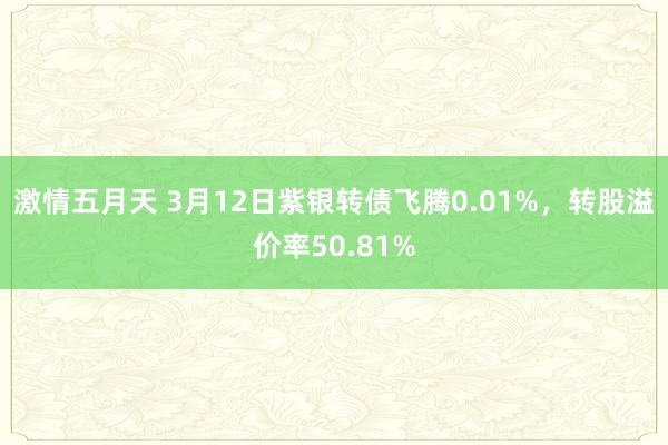 激情五月天 3月12日紫银转债飞腾0.01%，转股溢价率50.81%
