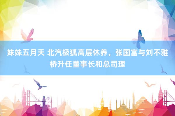 妹妹五月天 北汽极狐高层休养，张国富与刘不雅桥升任董事长和总司理