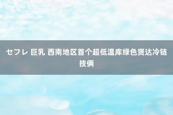 セフレ 巨乳 西南地区首个超低温库绿色贤达冷链技俩