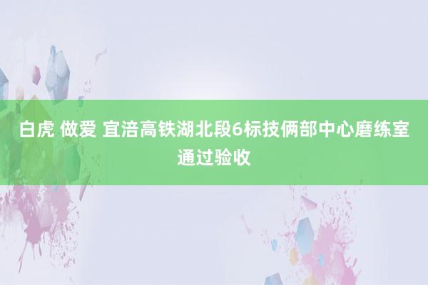 白虎 做爱 宜涪高铁湖北段6标技俩部中心磨练室通过验收