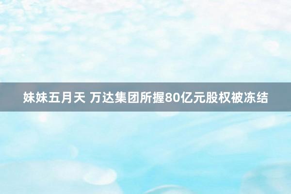 妹妹五月天 万达集团所握80亿元股权被冻结
