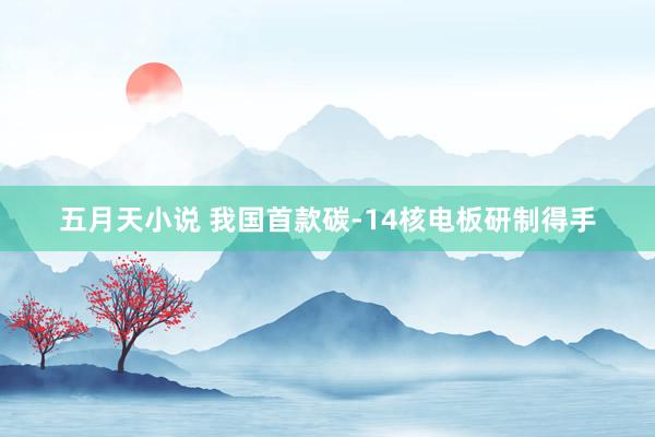 五月天小说 我国首款碳-14核电板研制得手