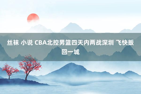 丝袜 小说 CBA北控男篮四天内两战深圳 飞快扳回一城