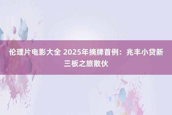 伦理片电影大全 2025年摘牌首例：兆丰小贷新三板之旅散伙