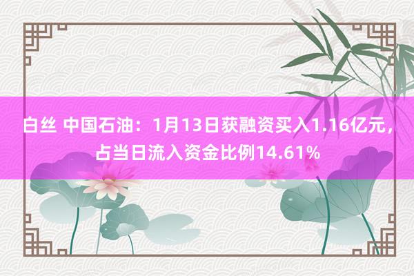 白丝 中国石油：1月13日获融资买入1.16亿元，占当日流入资金比例14.61%
