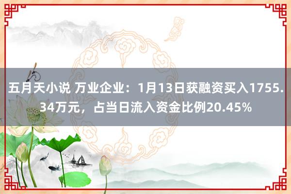五月天小说 万业企业：1月13日获融资买入1755.34万元，占当日流入资金比例20.45%