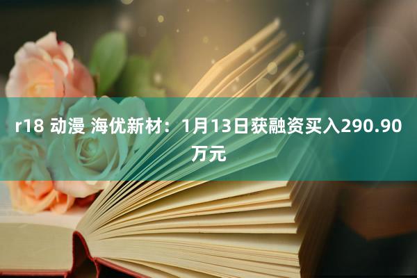 r18 动漫 海优新材：1月13日获融资买入290.90万元
