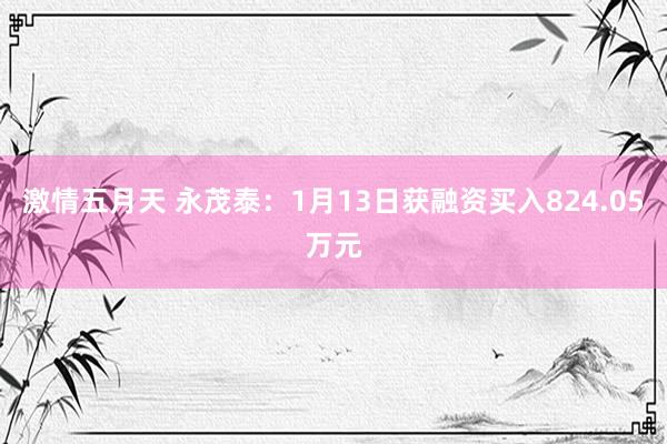 激情五月天 永茂泰：1月13日获融资买入824.05万元