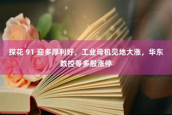 探花 91 迎多厚利好，工业母机见地大涨，华东数控等多股涨停