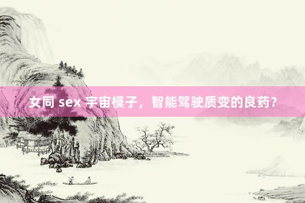 女同 sex 宇宙模子，智能驾驶质变的良药？
