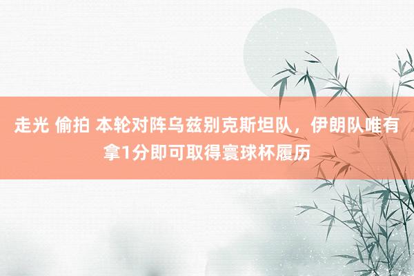 走光 偷拍 本轮对阵乌兹别克斯坦队，伊朗队唯有拿1分即可取得寰球杯履历