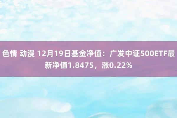 色情 动漫 12月19日基金净值：广发中证500ETF最新净值1.8475，涨0.22%