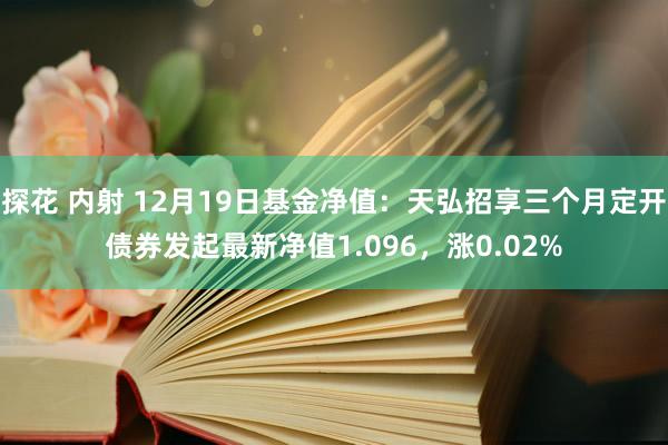探花 内射 12月19日基金净值：天弘招享三个月定开债券发起最新净值1.096，涨0.02%