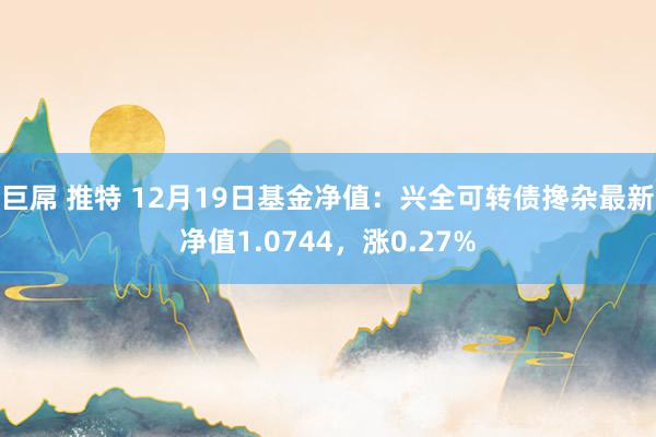 巨屌 推特 12月19日基金净值：兴全可转债搀杂最新净值1.0744，涨0.27%