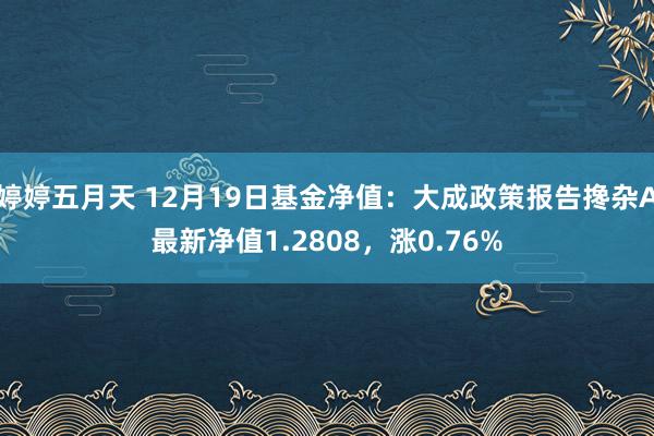 婷婷五月天 12月19日基金净值：大成政策报告搀杂A最新净值1.2808，涨0.76%