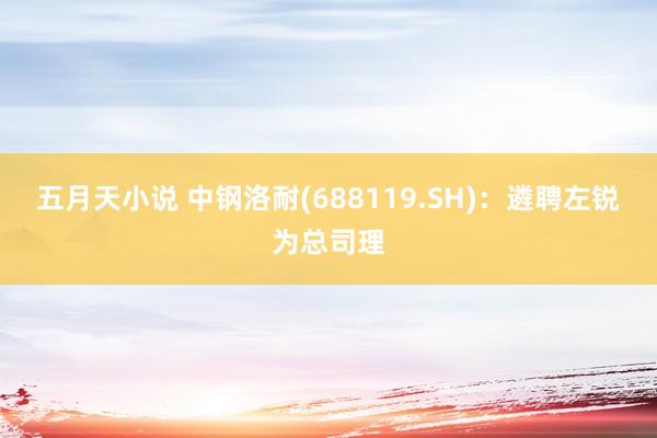 五月天小说 中钢洛耐(688119.SH)：遴聘左锐为总司理