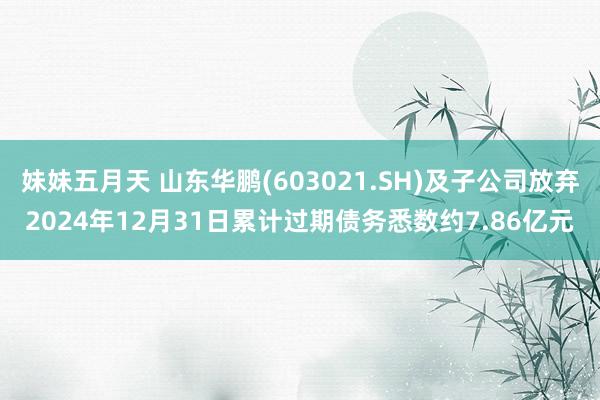 妹妹五月天 山东华鹏(603021.SH)及子公司放弃2024年12月31日累计过期债务悉数约7.86亿元