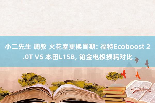 小二先生 调教 火花塞更换周期: 福特Ecoboost 2.0T VS 本田L15B， 铂金电极损耗对比