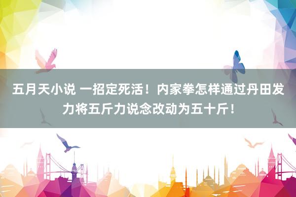 五月天小说 一招定死活！内家拳怎样通过丹田发力将五斤力说念改动为五十斤！