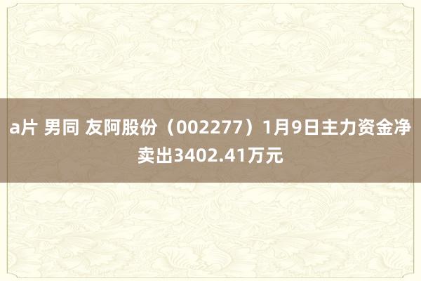 a片 男同 友阿股份（002277）1月9日主力资金净卖出3402.41万元