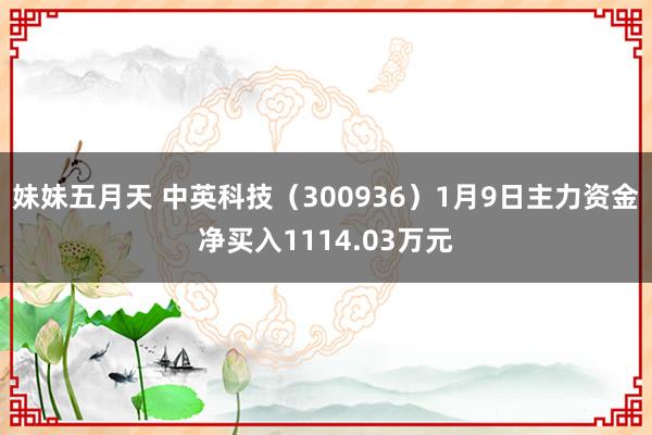 妹妹五月天 中英科技（300936）1月9日主力资金净买入1114.03万元