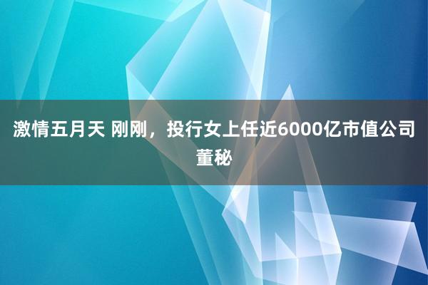 激情五月天 刚刚，投行女上任近6000亿市值公司董秘
