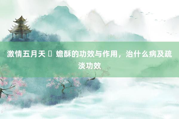 激情五月天 ​蟾酥的功效与作用，治什么病及疏淡功效