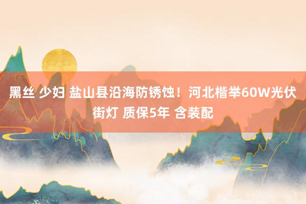 黑丝 少妇 盐山县沿海防锈蚀！河北楷举60W光伏街灯 质保5年 含装配