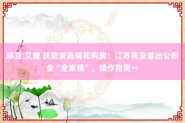 麻豆 艾鲤 扶助家庭调和购房！江苏南京推出公积金“全家桶”，操作指南→
