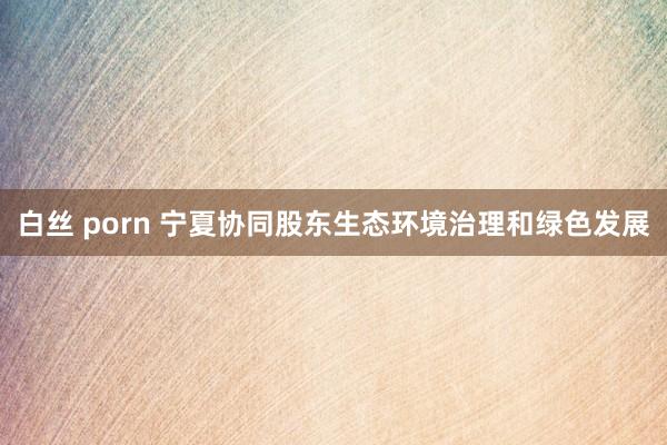 白丝 porn 宁夏协同股东生态环境治理和绿色发展