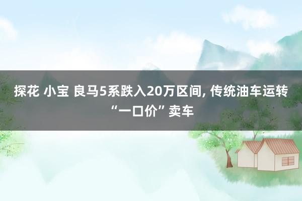 探花 小宝 良马5系跌入20万区间， 传统油车运转“一口价”卖车