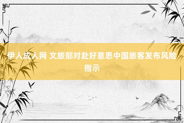 伊人成人网 文旅部对赴好意思中国旅客发布风险指示