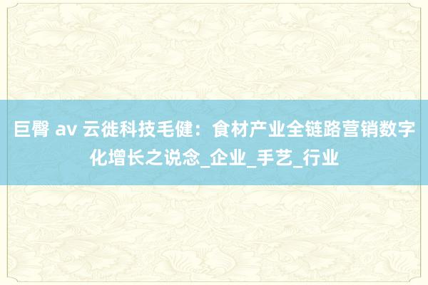 巨臀 av 云徙科技毛健：食材产业全链路营销数字化增长之说念_企业_手艺_行业