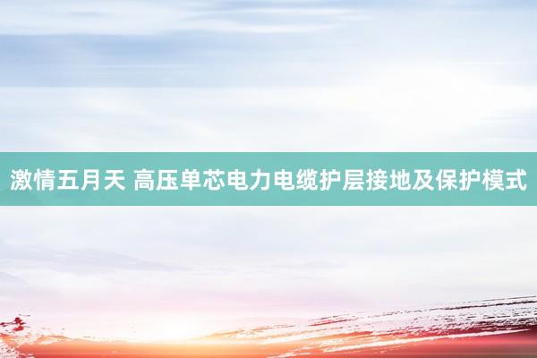 激情五月天 高压单芯电力电缆护层接地及保护模式