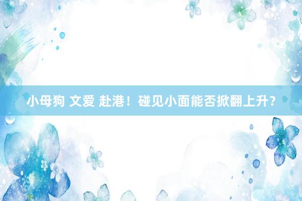 小母狗 文爱 赴港！碰见小面能否掀翻上升？