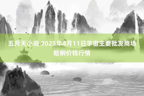 五月天小说 2025年4月11日宇宙主要批发商场蛤蜊价钱行情