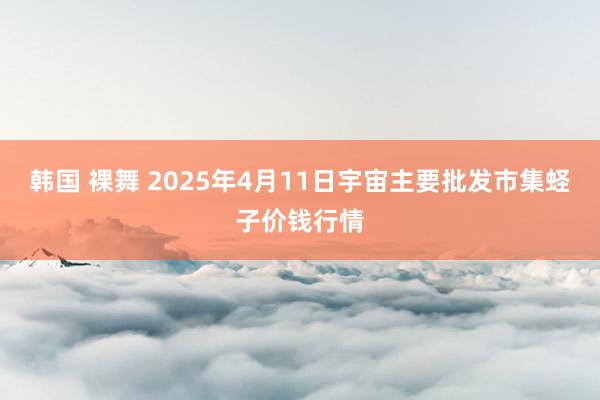 韩国 裸舞 2025年4月11日宇宙主要批发市集蛏子价钱行情