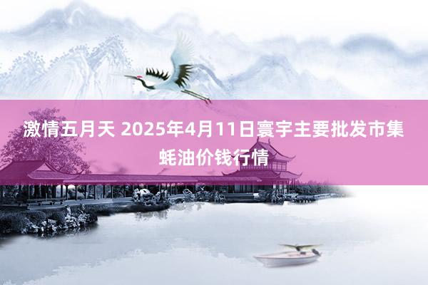 激情五月天 2025年4月11日寰宇主要批发市集蚝油价钱行情